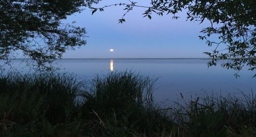 9-Rus02-GoldenRing14